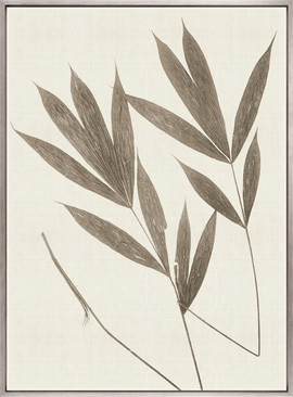 Fanciful Foliage XII (Taupe) (Canvas)