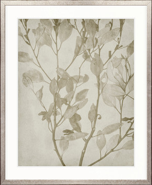 Foliage Splendour (Natural) VIII