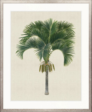 Kebaya Palm I