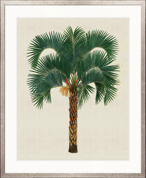 Kebaya Palm VIII