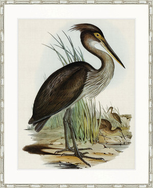 Pembroke Bird I