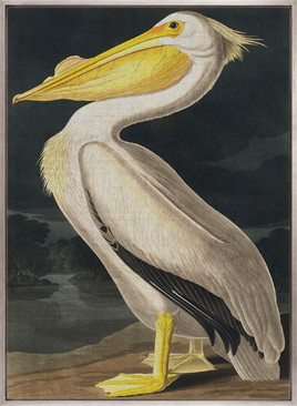 Exquisite Bird II (Canvas)