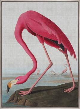 Exquisite Bird III (Canvas)