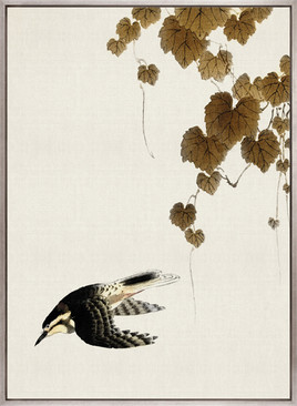 Naoko Bird II (Canvas)