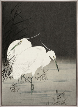 Naoko Bird IV (Canvas)