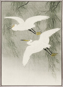Naoko Bird V (Canvas)