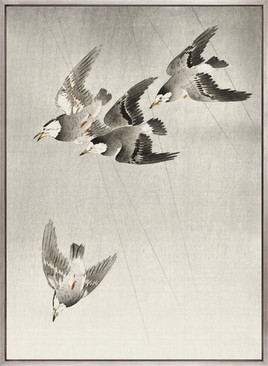 Naoko Bird VI (Canvas)