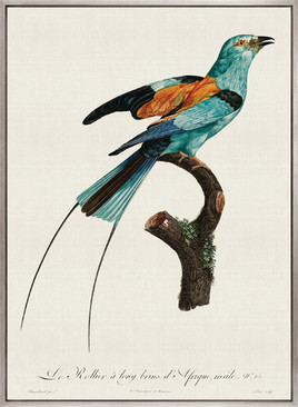 Forest Bird II (Canvas)