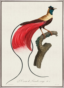 Forest Bird IV (Canvas)