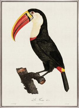 Forest Bird VI (Canvas)