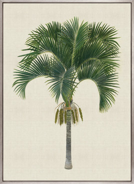 Kebaya Palm I (Canvas)
