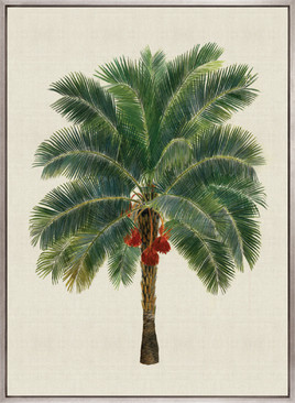 Kebaya Palm II (Canvas)