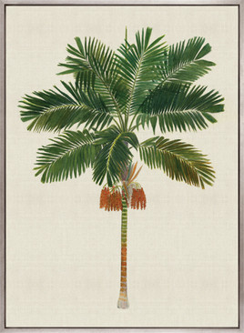 Kebaya Palm III (Canvas)