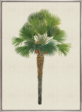 Kebaya Palm IV (Canvas)