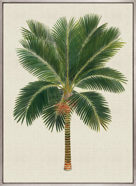 Kebaya Palm V (Canvas)