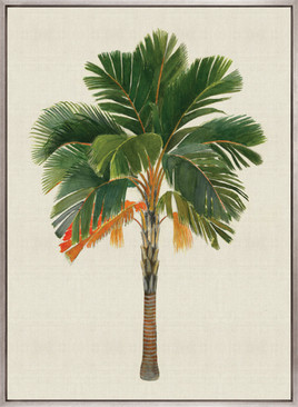 Kebaya Palm VI (Canvas)