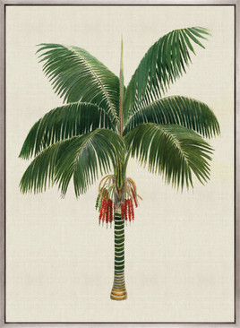 Kebaya Palm VII (Canvas)