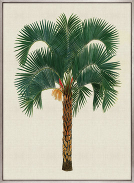 Kebaya Palm VIII (Canvas)