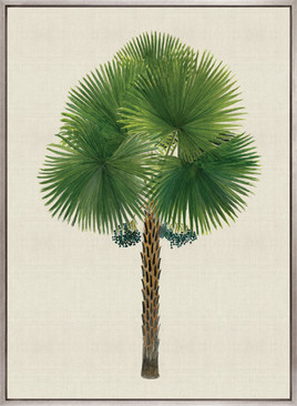 Kebaya Palm IX (Canvas)