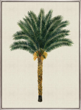 Kebaya Palm XII (Canvas)