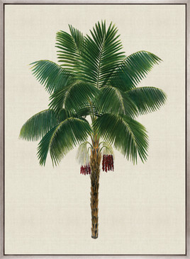 Kebaya Palm XI (Canvas)