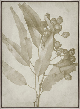 Foliage Splendour (Indigo) V (Canvas)