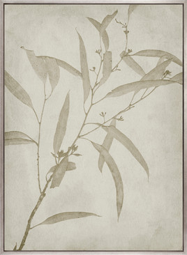 Foliage Splendour (Indigo) VI (Canvas)