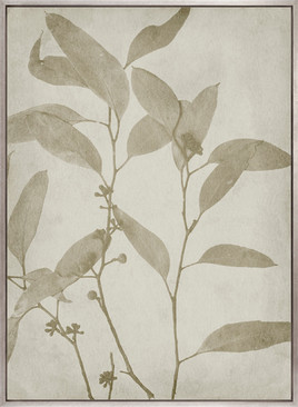 Foliage Splendour (Indigo) VII (Canvas)