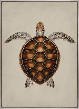 Majestic Turtle I (Canvas)