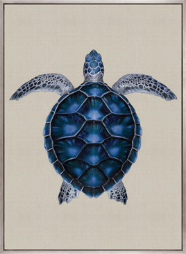 Majestic Turtle V (Canvas)