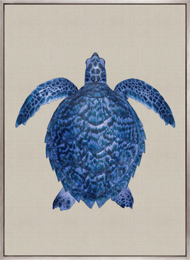 Majestic Turtle VI (Canvas)