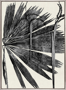 Asiatic Palm I (Canvas)