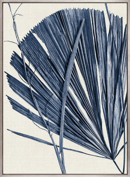 Asiatic Palm IV (Canvas)