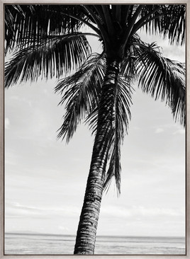 Palm Silhouette II (Canvas)