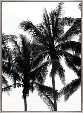 Palm Silhouette III (Canvas)