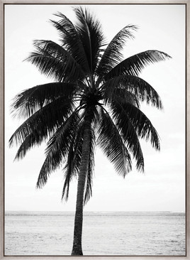 Palm Silhouette IV (Canvas)