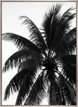 Palm Silhouette V (Canvas)