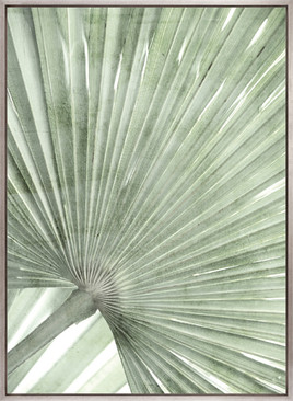 Palm Silhouette (Pale Green) I (Canvas)