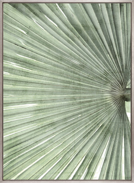 Palm Silhouette (Pale Green) III (Canvas)