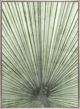 Palm Silhouette (Pale Green) IV (Canvas)