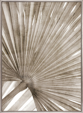 Palm Silhouette (Taupe) VII (Canvas)