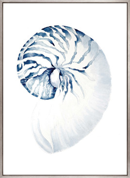 Exquisite Shell II (Indigo) (Canvas)