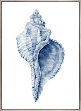 Exquisite Shell III (Indigo) (Canvas)