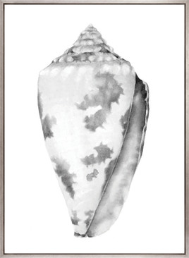 Exquisite Shell VII (Soft Grey) (Canvas)