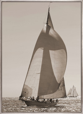 Nautical V (Sepia) (Canvas)