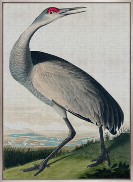 Exquisite Bird I (Canvas)