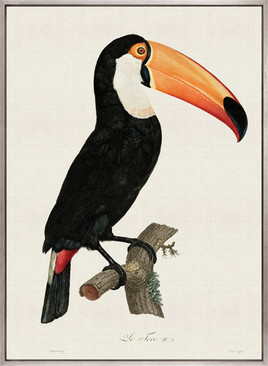 Forest Bird I (Canvas)