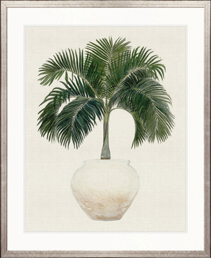 Palm Beauty I