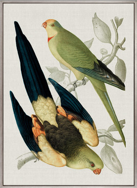 Birds in Paradise I (Canvas)