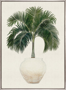 Palm Beauty I (Canvas)
